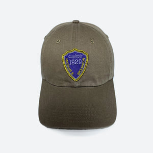 Driftwood Washed Twill